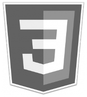 CSS Logo